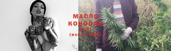 индика Яранск