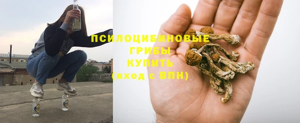 гидропоника Белоозёрский