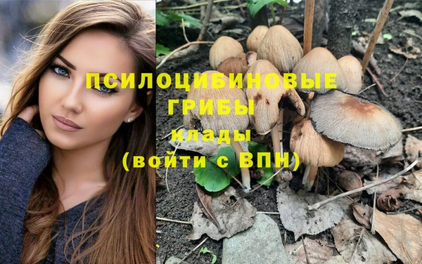 гидропоника Белоозёрский